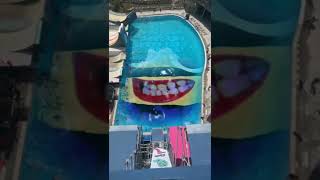 Huge Pool Of Klasky Csupo