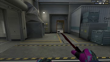 Astralis Magisk support flash dupreeh easy kill