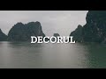 Decorul - Cătălin &amp; Ramona Lup