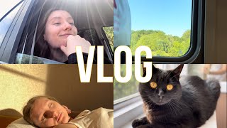 Vlog#4 Семейно-домашний)