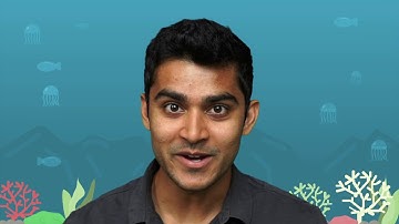 Extreme Exposure ft. Dr. Allan Adams (Full STEAM Ahead - Week 7)