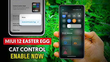 MIUI 12 New Cat Controls Feature Enable Now Xiaomi And Poco Device | MIUI 12 Easter Egg