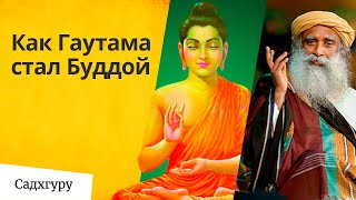 Как Гаутама Будда достиг просветления