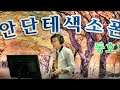 색소폰 연주 일편단심[금잔디]  더블케이비 테너색소폰 연주