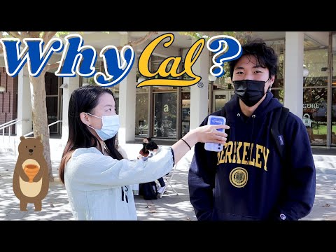 Видео: Има ли UC Berkeley юридическа програма?