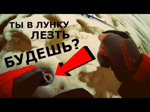 Что же ты не лезешь в лунку? Зимняя рыбалка. Ловля берша на тюльку