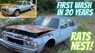 ABANDONED Caprice! Pressure Washing, Rats Nest, and MORE!