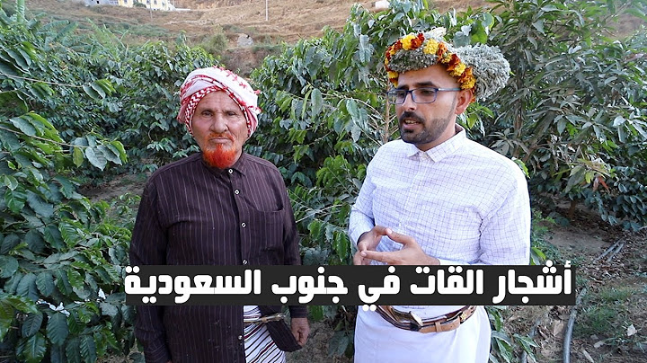 أشجار القات في جازان !