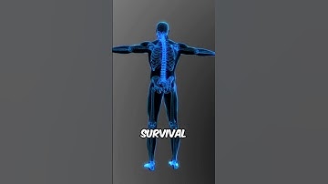 The Hidden Memory Recorder: Your Body