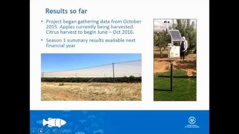 The effects of permanent netting enclosures on fruit production and water efficiency