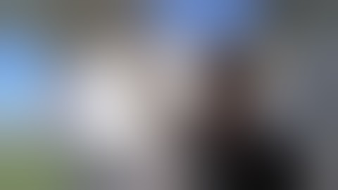 Jackass 3.5 - the ball shots