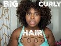 Get Big Hair in 15 Minutes | DIFFUSING CURLY HAIR 101