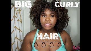 Get Big Hair in 15 Minutes | DIFFUSING CURLY HAIR 101