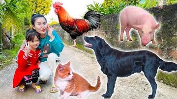Changcady giới thiệu các con vật nuôi : con mèo, con gà, con chó, lợn - Part 312
