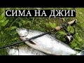 Рыбалка Сима на джиг-головку 2020