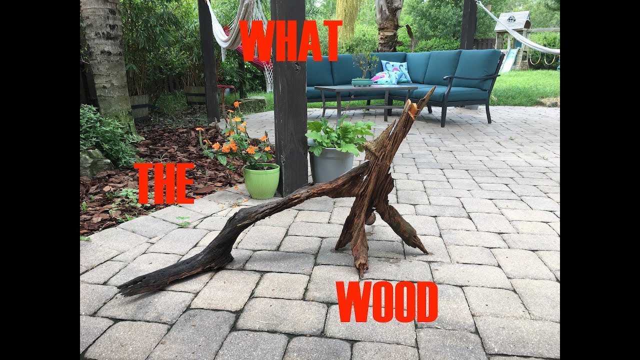 Adding plants and some scape to the Monster Pond!!!!!