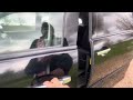 Toyota Estima Areas Petrol Ulez