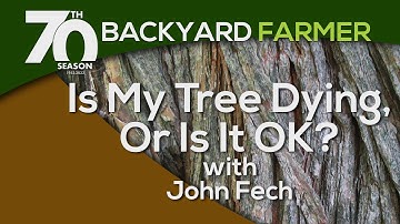Is My Tree Dying?