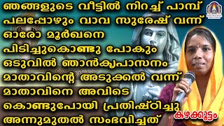 ഞങ്ങളുടെ വീട്ടിൽ നിറച്ചു പാമ്പ് പലപ്പോഴും വാവ സുരേഷ് വന്ന് ഓരോ മൂർഖനെ പിടിച്ചുകൊണ്ടു പോകും ഒടുവിൽ