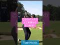 【欧米プロの縦振りスイング】プロが指摘『レッスン動画は間違いだらけ』#ゴルフ#ダウンスイング#てらゆー