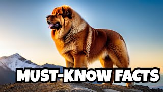 Tibetan Mastiff  Top 10 Facts