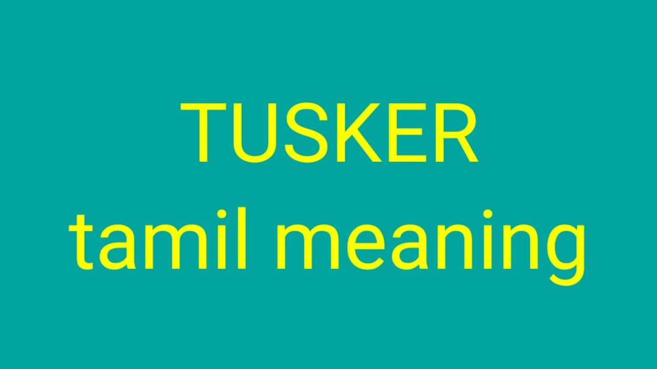 TUSKER tamil meaning/sasikumar - YouTube