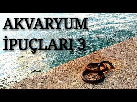 Akvaryum İpuçları 3