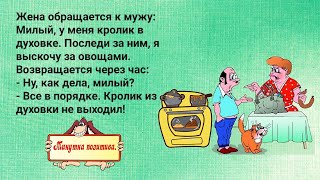 Она - ему, после проведенной ночи...Лучшие Смешные Анекдоты выпуск 151.Приколы! Смех! Юмор!