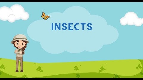 Insects | fun facts about insects | #kidsvideo #funfacts #learnenglish #kidsyoutube #insects #fyp
