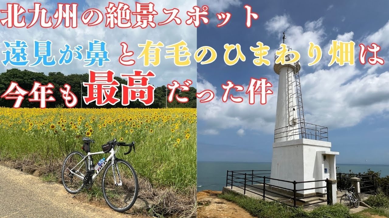北九州の絶景をぜひ！圧巻のひまわり畑と絶景の灯台を見に行く最高のポタリングをどうぞ♪ #ロードバイク #ポタリング #北九州#向日葵 #自転車 #trek #cycling #roadbike