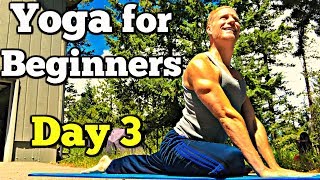 Day 3 - Full Body Yoga Stretch - 7 Day Beginner Yoga Challenge #7dayyogachallenge
