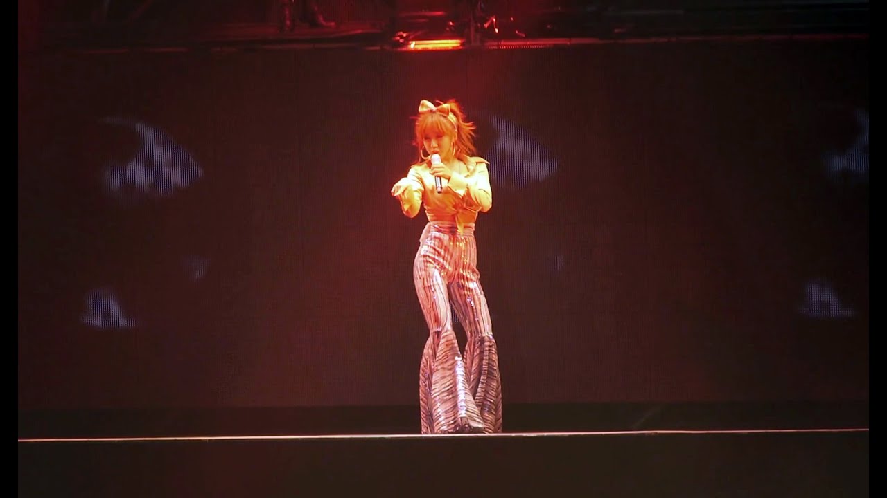 [직캠] 김남주 - Honey (에이핑크 콘서트)