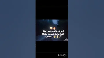 اخرك حاله واتس يا ابنها 