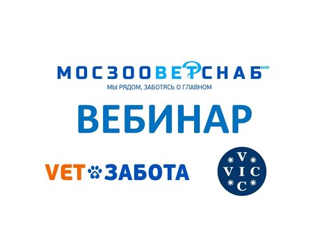 Видео: Инфраорбитальный значение на английском языке?