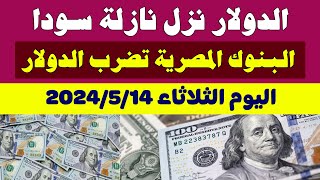 اسعار الدولار في السوق السوداء في مصر | اسعار الدولار والعملات اليوم الاربعاء 14-5-2024 في مصر