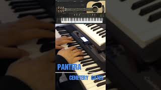 Pantera Cemetery Gates acoustic cover