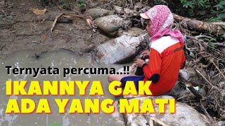 Serunya Menangkap Ikan Sambil Mancing Belut Di Kawasan Sungai