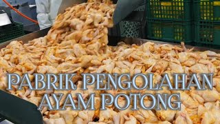 Memotong Daging Ayam 1 Kg Menjadi 10. 