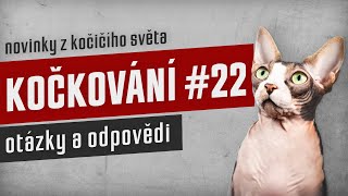 KOČKOVÁNÍ #22 - Stream: otázky a odpovědi by Kočkování 96 views 4 months ago 1 hour, 48 minutes