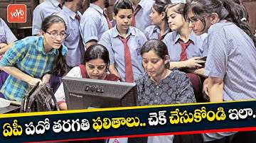 AP 10th Class Results 2019 Update | Andhra Pradesh SSC Results 2019 | AP News | YOYO TV Channel