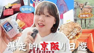 Download Lagu 【大阪京都VLOG🇯🇵】踩點大吃美食😋 黑毛和牛壽司燒不用$250！不用人擠人的隱藏版稻荷神社打卡點⛩️ 奈良小鹿🦌＋必買復古小相機📷 l Cher is chercher MP3