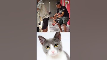 #actingchallenge #highsandlows #filterchallenge #reelschallenge 🤣 #guessthesong