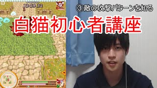 白猫プロジェクト 初心者の方の序盤の攻略と進め方 人気スマホゲーム初心者おすすめガイド