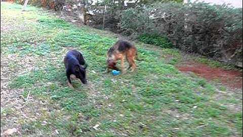 Изображение 008