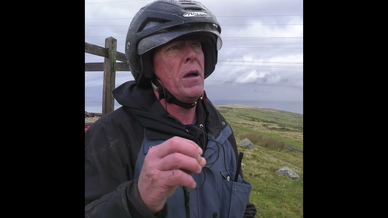 Why feral ponies are good for wildlife 