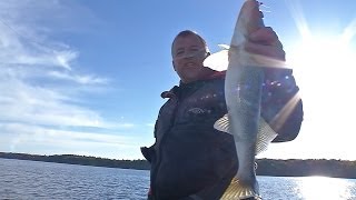 42 Petenwell Flowage Bonanza  -Preview-