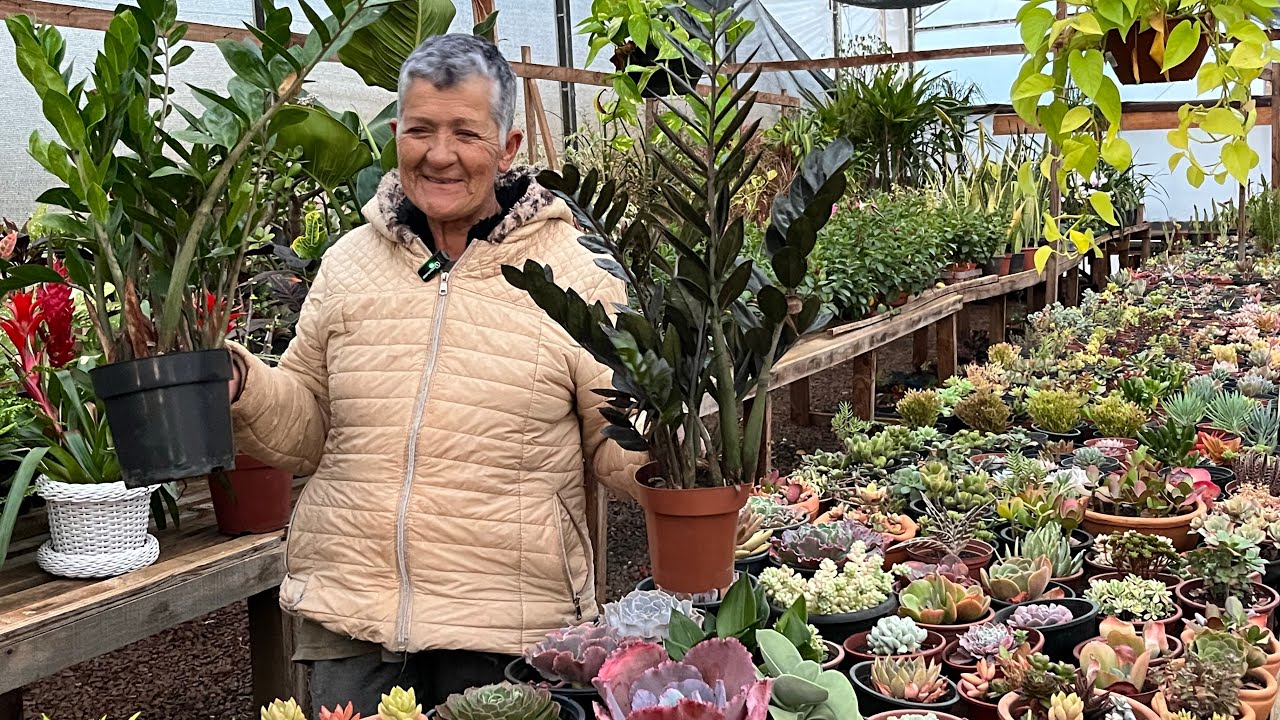 ARCA DE NOÉ É  O PARAÍSO DAS PLANTAS - DONA MARIA
