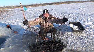 Морды просто трещали от ратанов. Мой новый помощник АРМОР 9