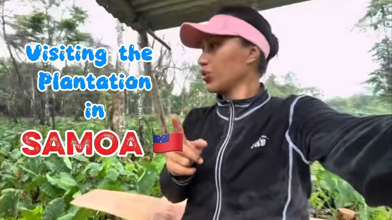 Spend the day at the plantation in Satuimalufilufi, Samoa 🇼🇸 