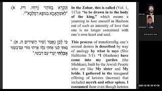 Torah Ohr Parshas Beshalach 2025